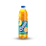 Oasis Summer Fruits 500ml 